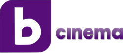 bTV Cinema HD